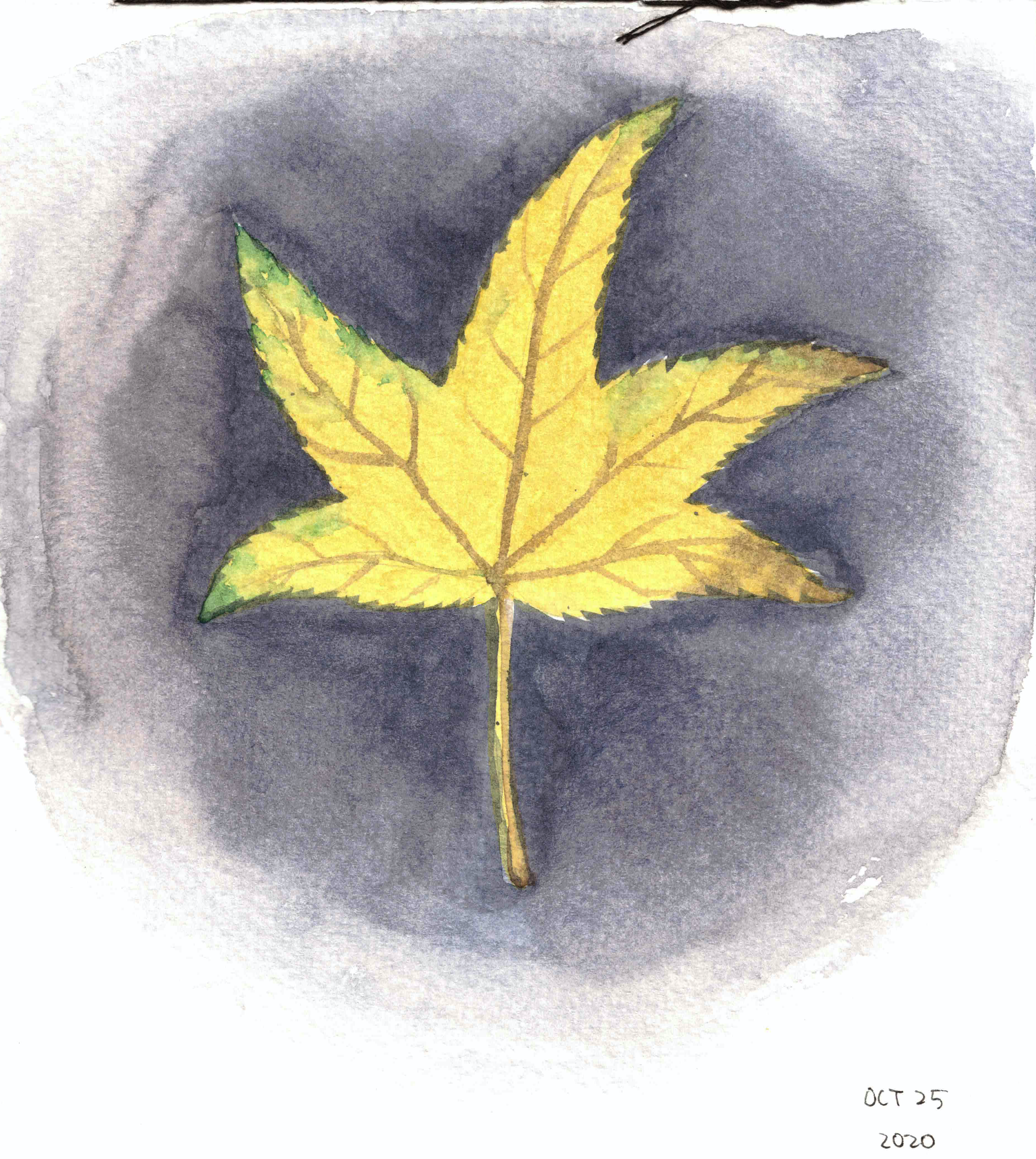 Autumn 2020 I Autumn 2020 I