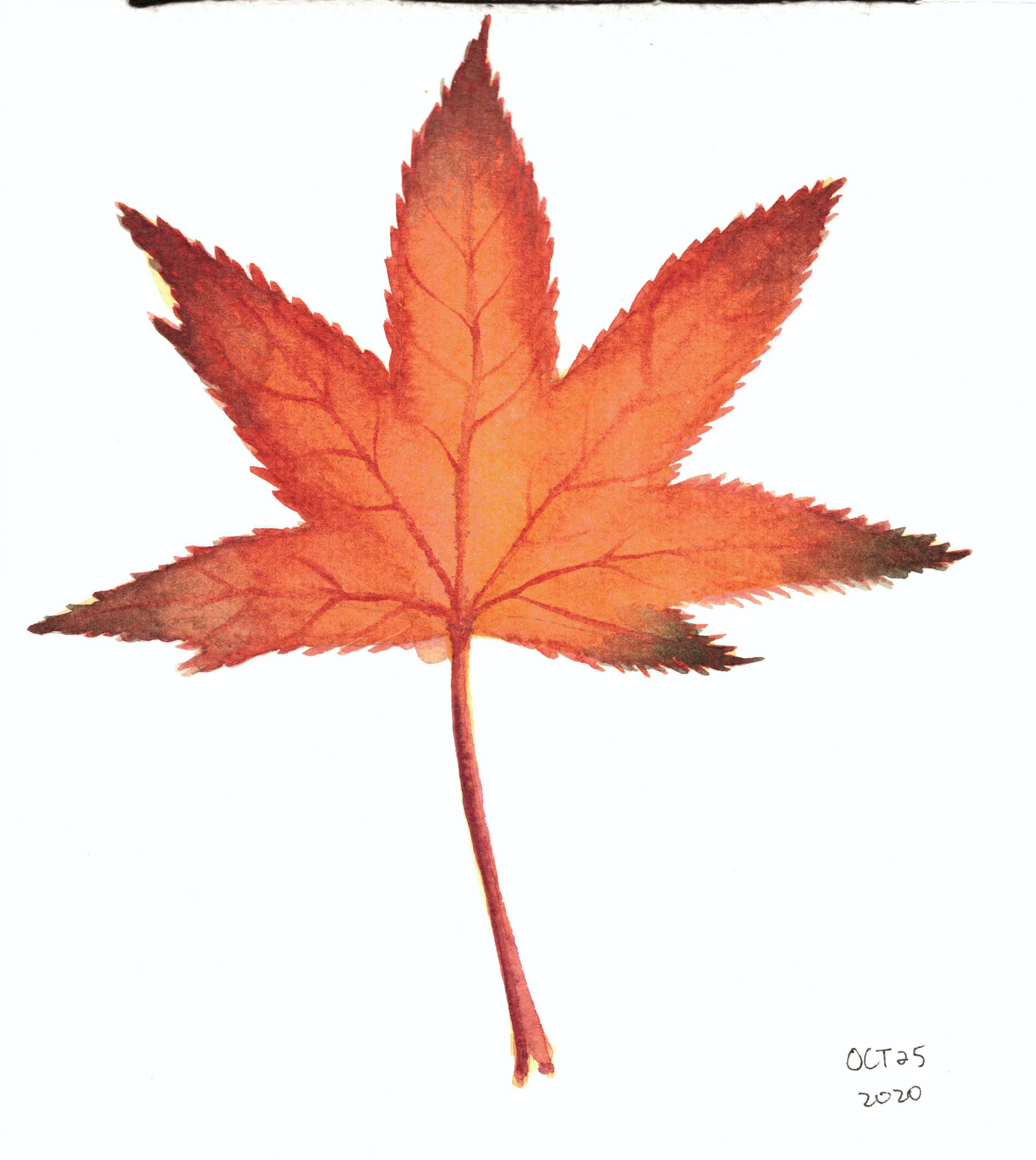 Autumn 2020 II Autumn 2020 II